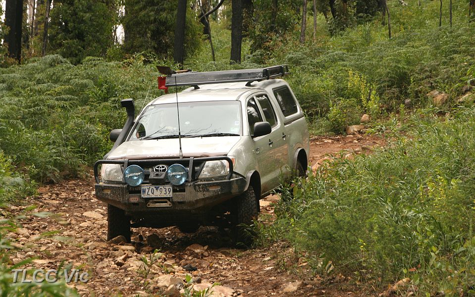 04-Marvin comes through the switchback on Strickland Link Trk.JPG